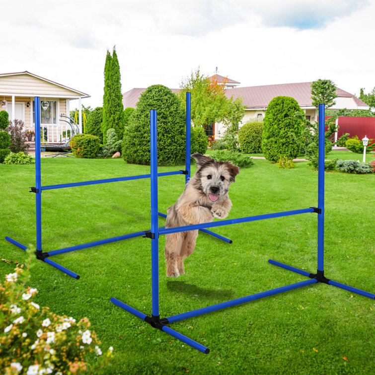 Archie & Oscar Plastic Dog Agility Equipment Wayfair.co.uk